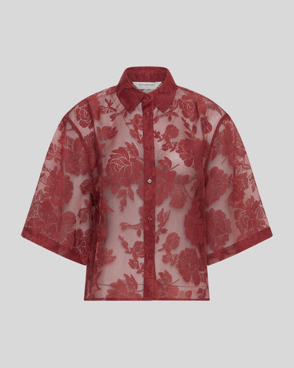 LETTICHE SHIRT